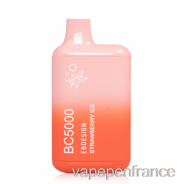 Stylo Vape Jetable à Glace à La Fraise Bc5000